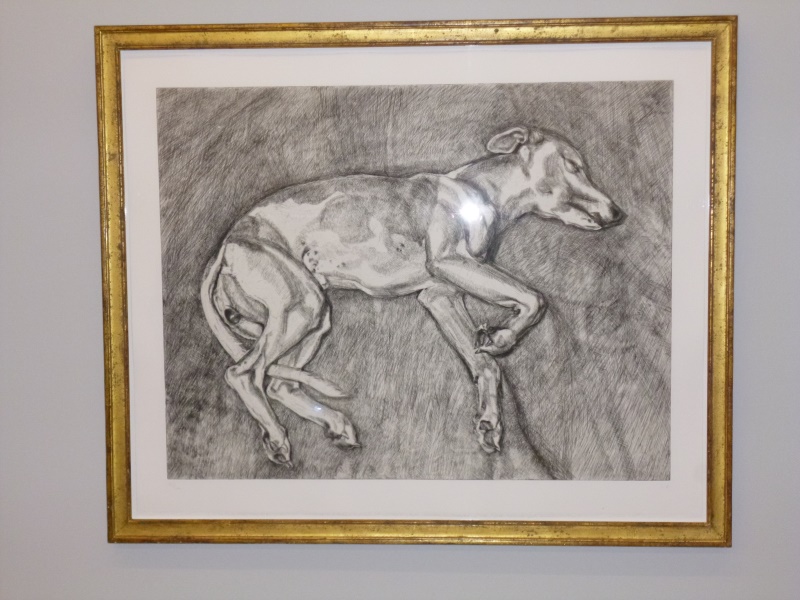 Lucian Freud´s Windhund  Pluto